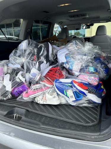 The Twig Sneaker Drive